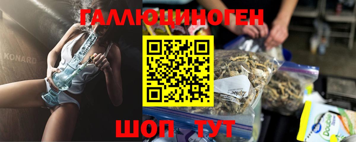 Кстово  Галлюциногенные грибы GOLDEN TEACHER  Вход с VPN 