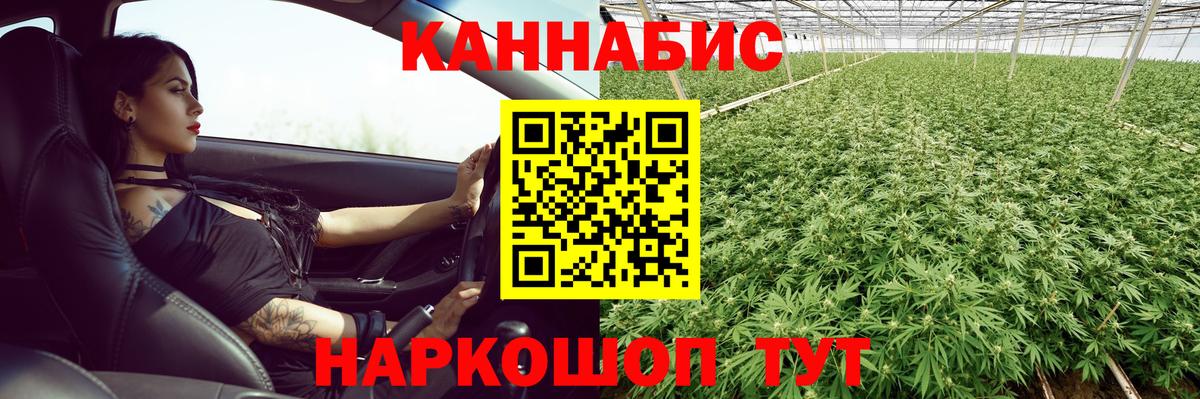 Каннабис Amnesia  Канабис тримм  Вход с VPN  Каннабис AK-47  Кстово  Канабис AK-47 